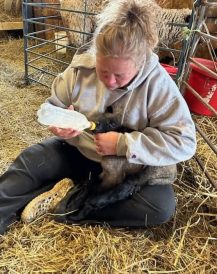 article image - farm families 5